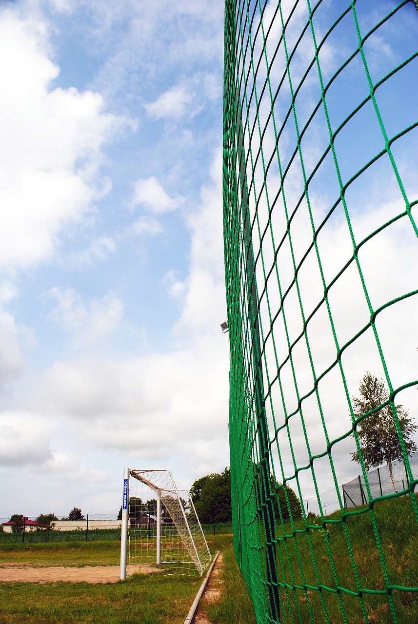 季后赛希望 季后赛希望