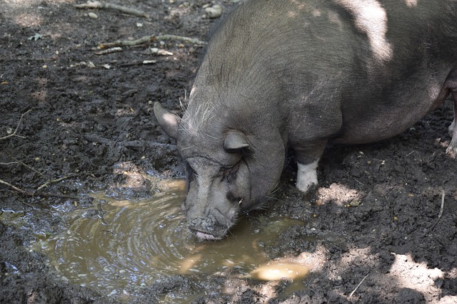 防线漏洞暴 防线漏洞暴
