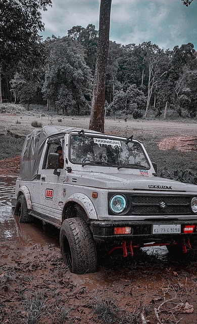 巨大成功 巨大成功