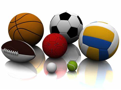 加维个人资 加维个人资