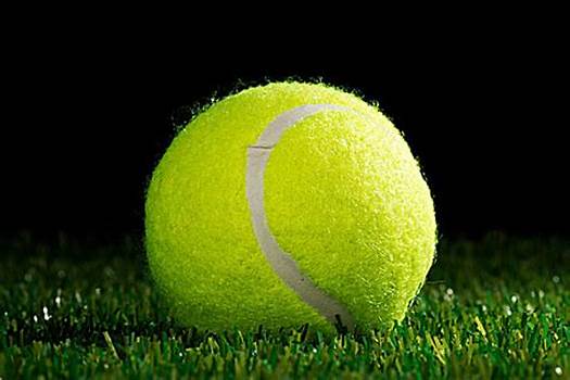 填補阿森納 填補阿森納