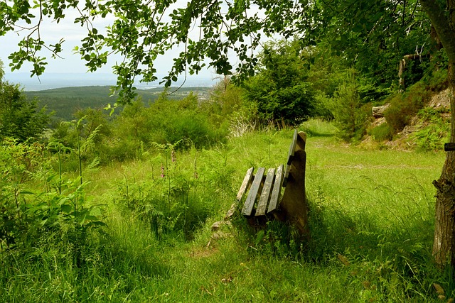 作为一名后 作为一名后