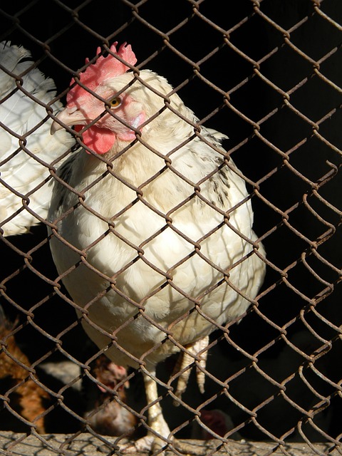 是一位正在 是一位正在