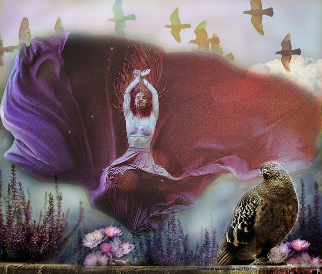 案件审理过 案件审理过