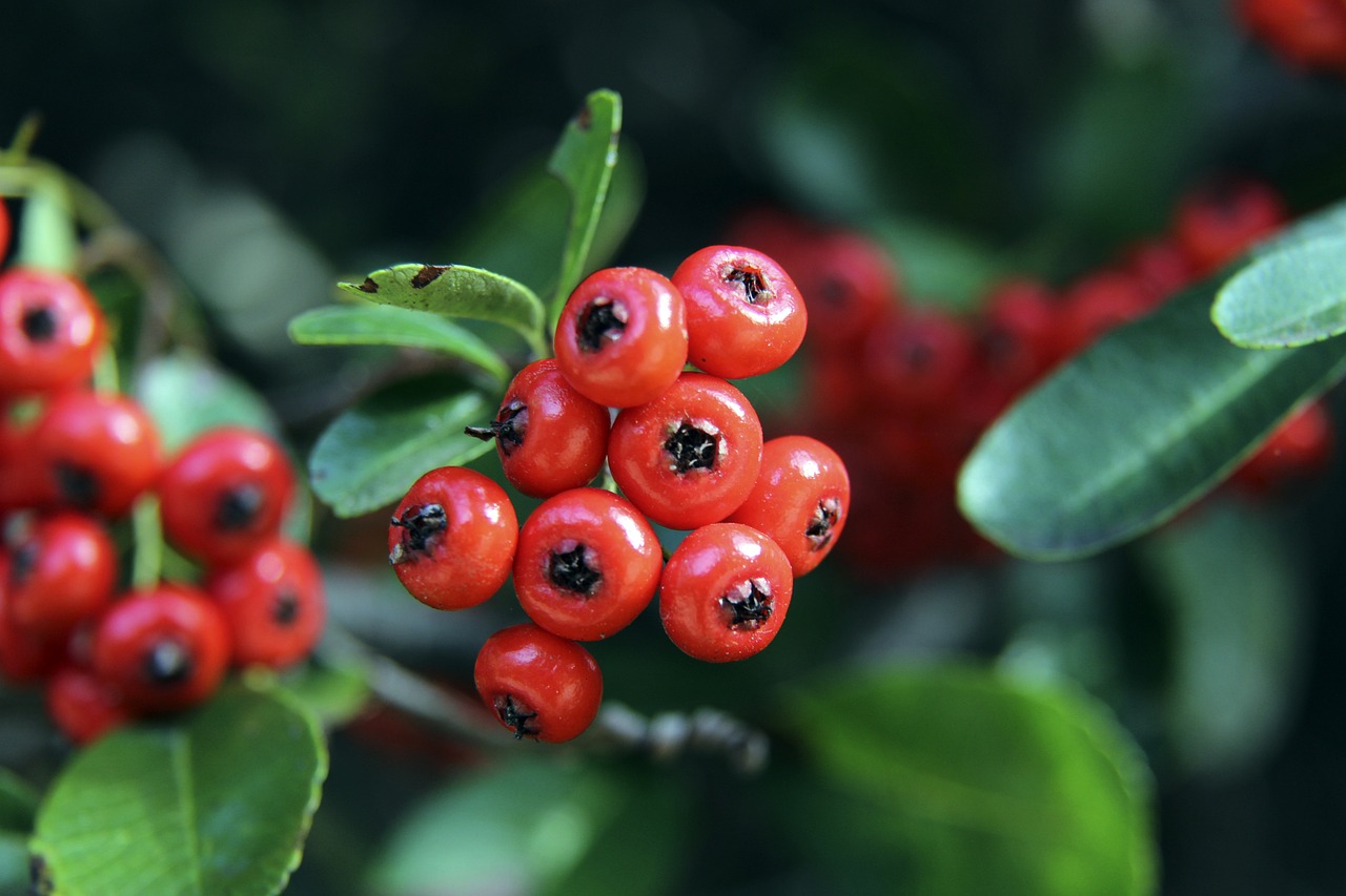 待遇或追平 待遇或追平