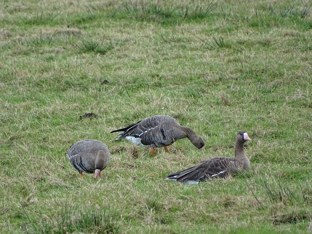 费城76人 费城76人